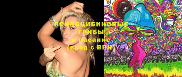 гашик Грязовец