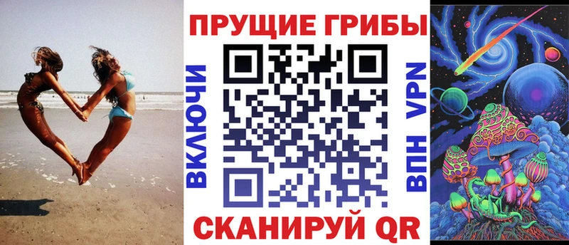 купить наркоту  Лаишево  блэк спрут зеркало  Галлюциногенные грибы Psilocybe 
